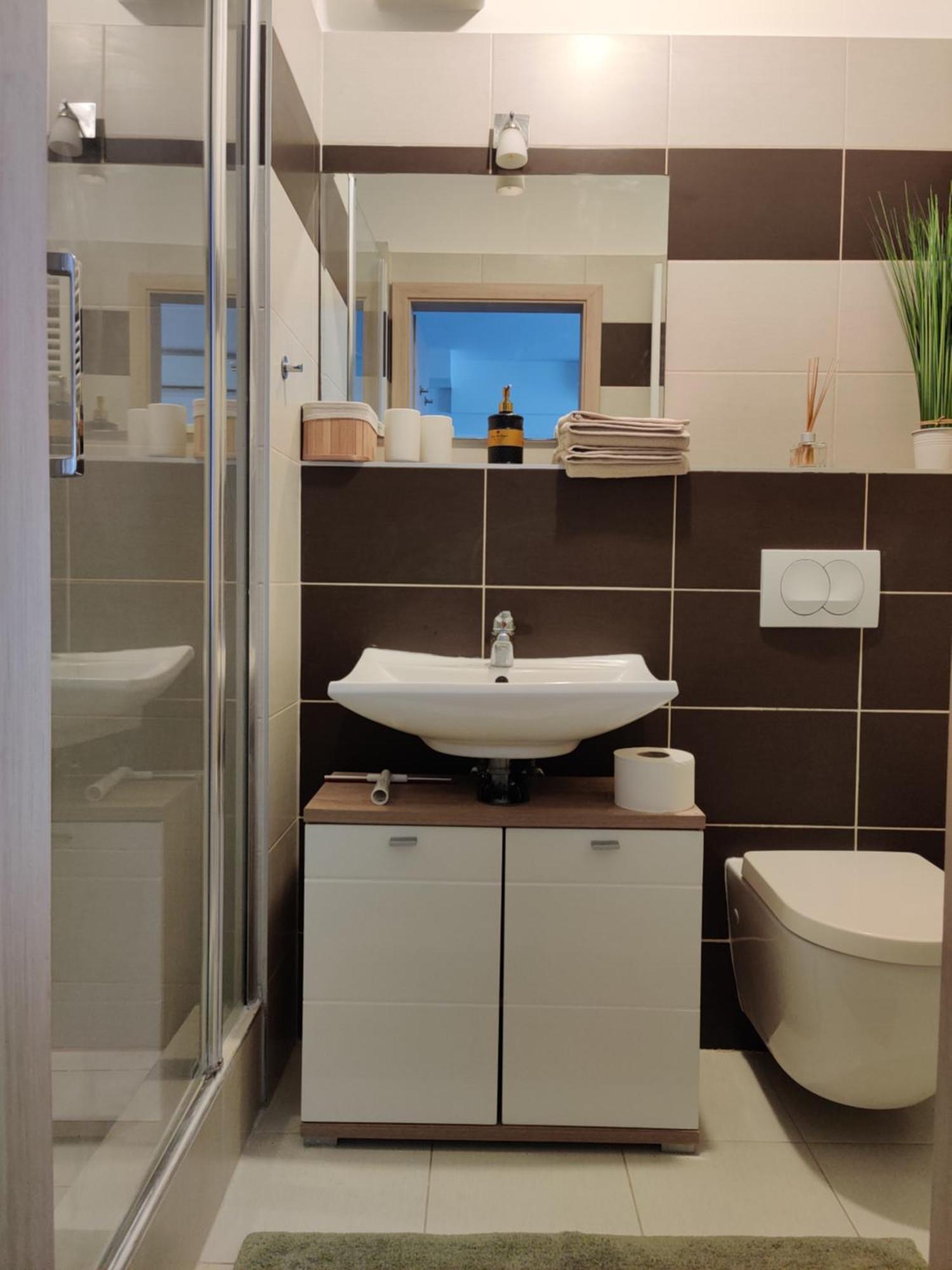 Apartament Corvin Black Bird *