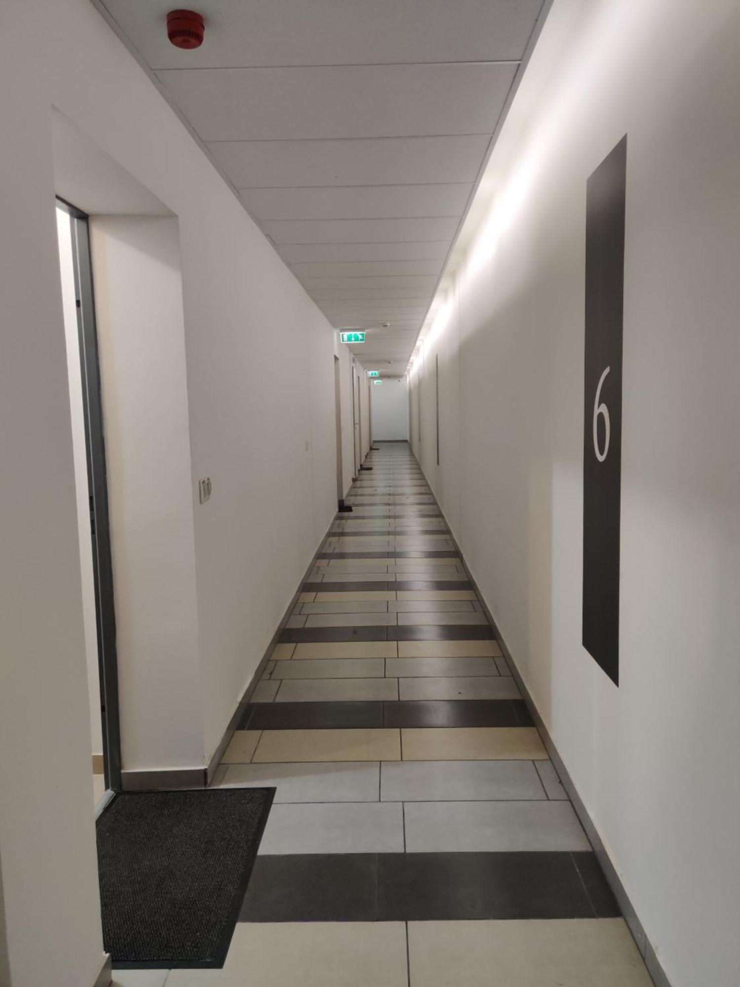 Apartament Corvin Black Bird *